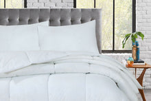 Load image into Gallery viewer, Love2Sleep Value Bundle - 10.5 Tog poly Cotton w/ 2 Bouncy Pillows
